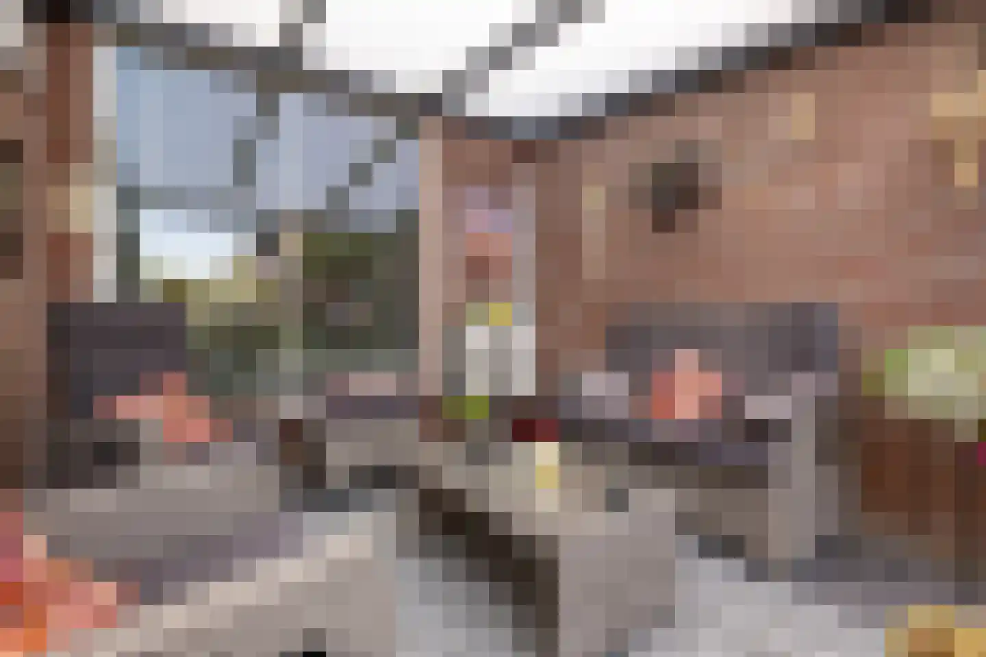 Burg Feithsingel 17 Coevorden thumbnail 37