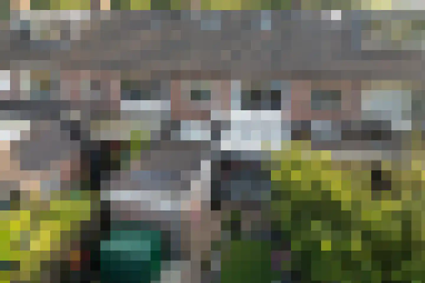 Burg Feithsingel 17 Coevorden thumbnail 42