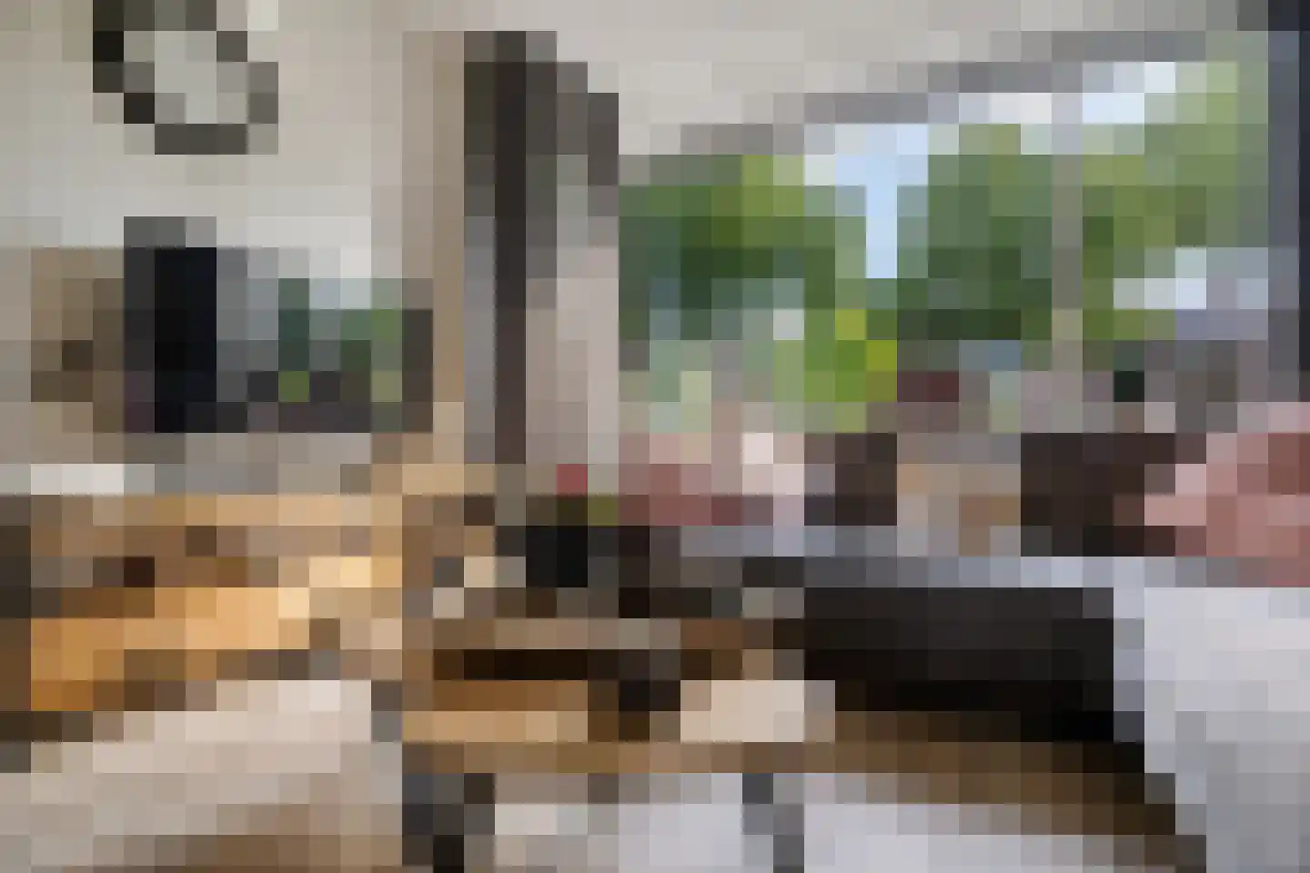 Burg Feithsingel 17 Coevorden thumbnail 7