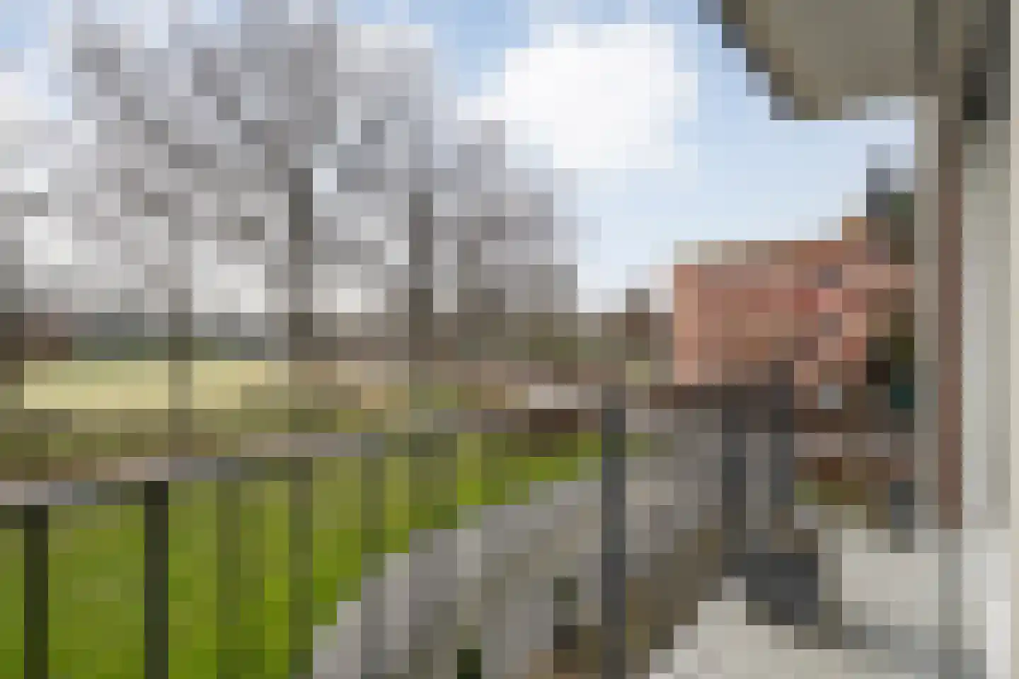 Burg Feithsingel 4 05 Coevorden thumbnail 25