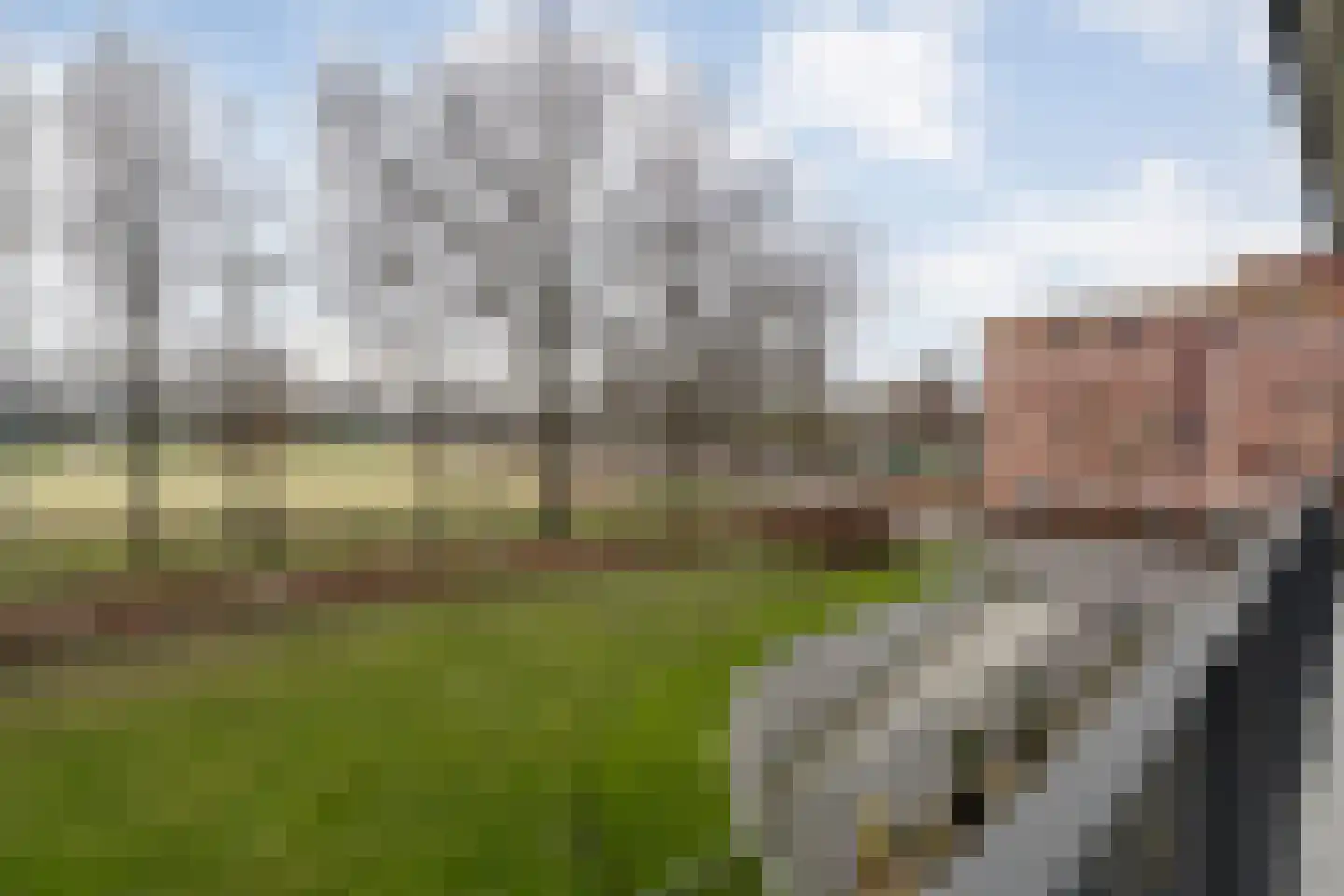 Burg Feithsingel 4 05 Coevorden thumbnail 28