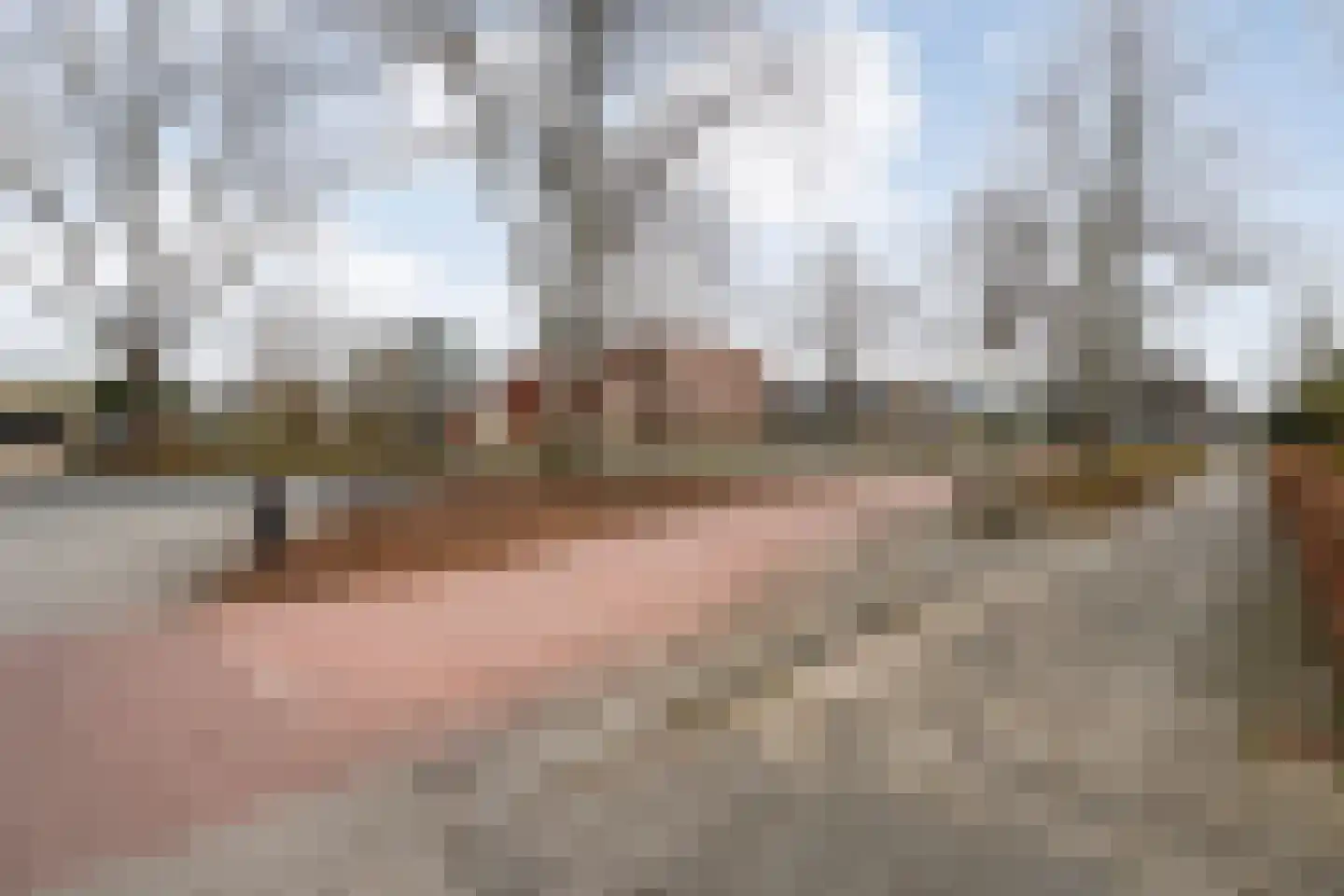Burg Feithsingel 4 05 Coevorden thumbnail 45