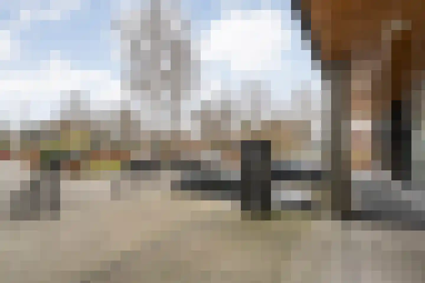 Burg Feithsingel 4 05 Coevorden thumbnail 6