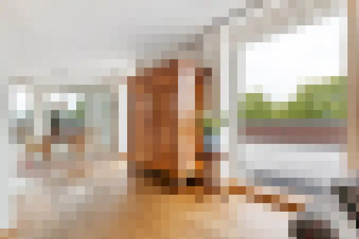 Burg Feithsingel 4 12 Coevorden thumbnail 41