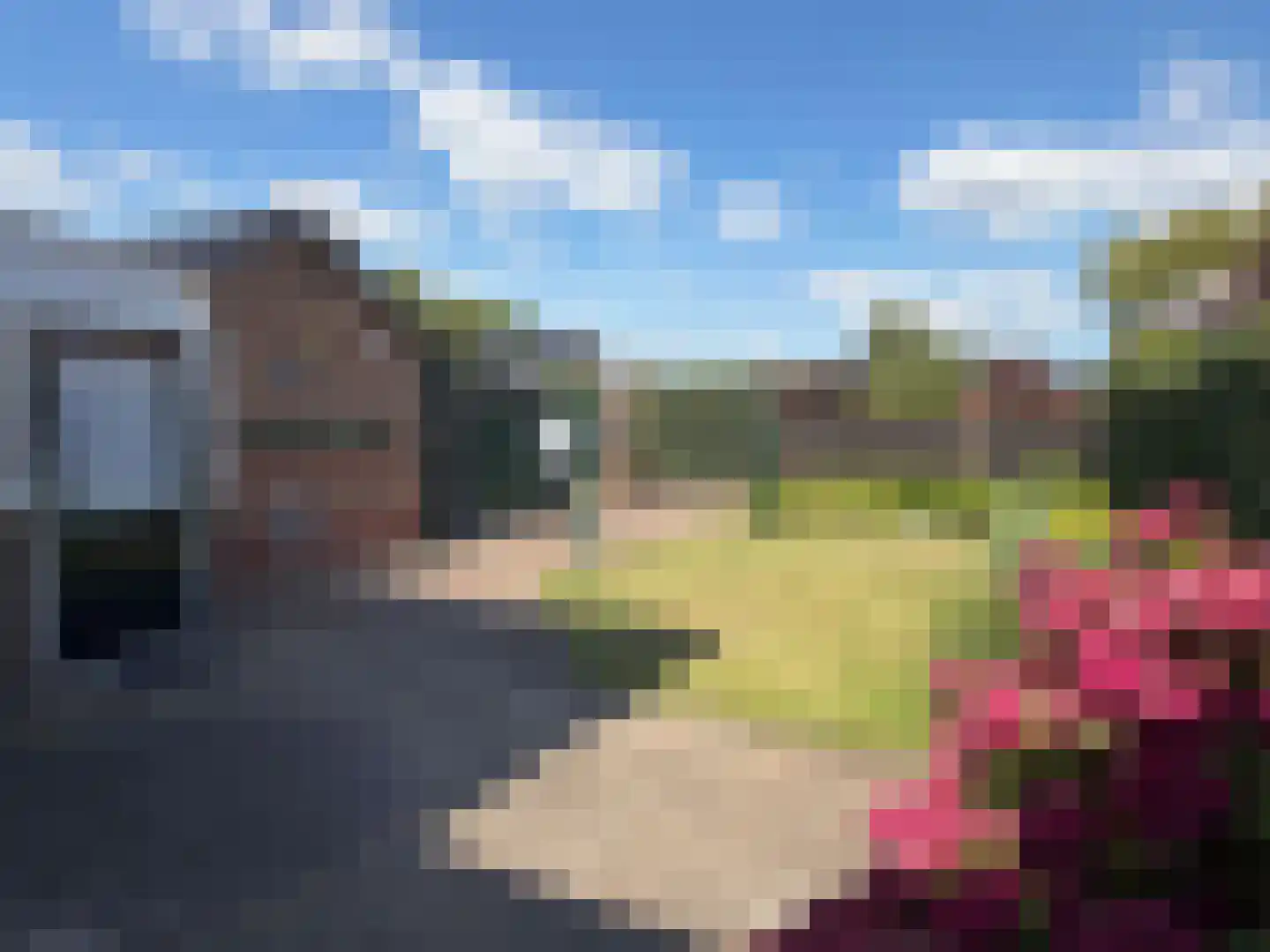 Burg Feithsingel 9 Coevorden thumbnail 13