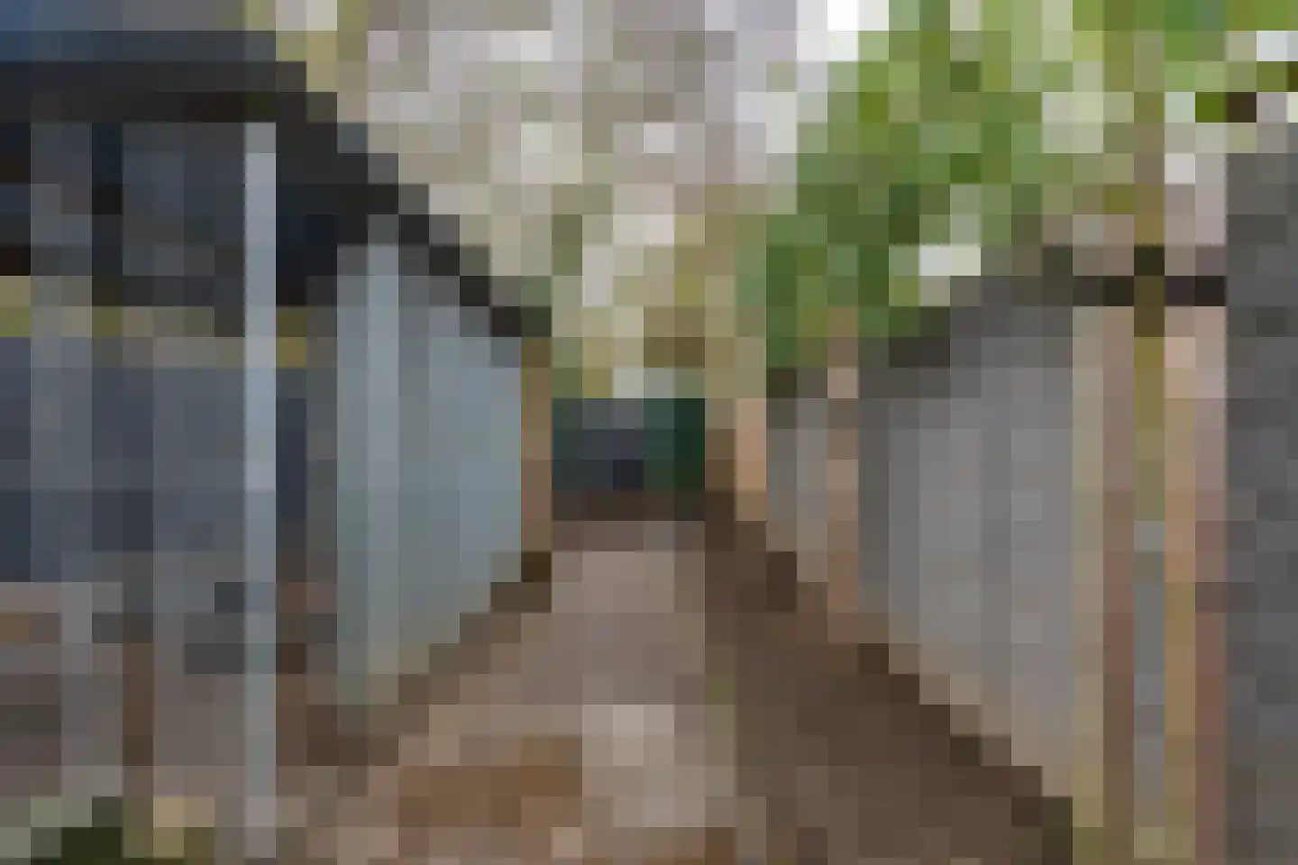 Burg.Franssenstraat 27 Kerkrade thumbnail 24