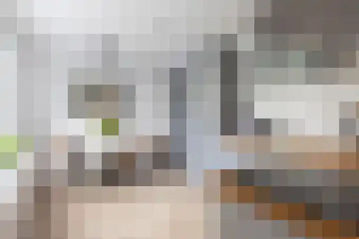 Burg.Franssenstraat 43 Kerkrade thumbnail 8