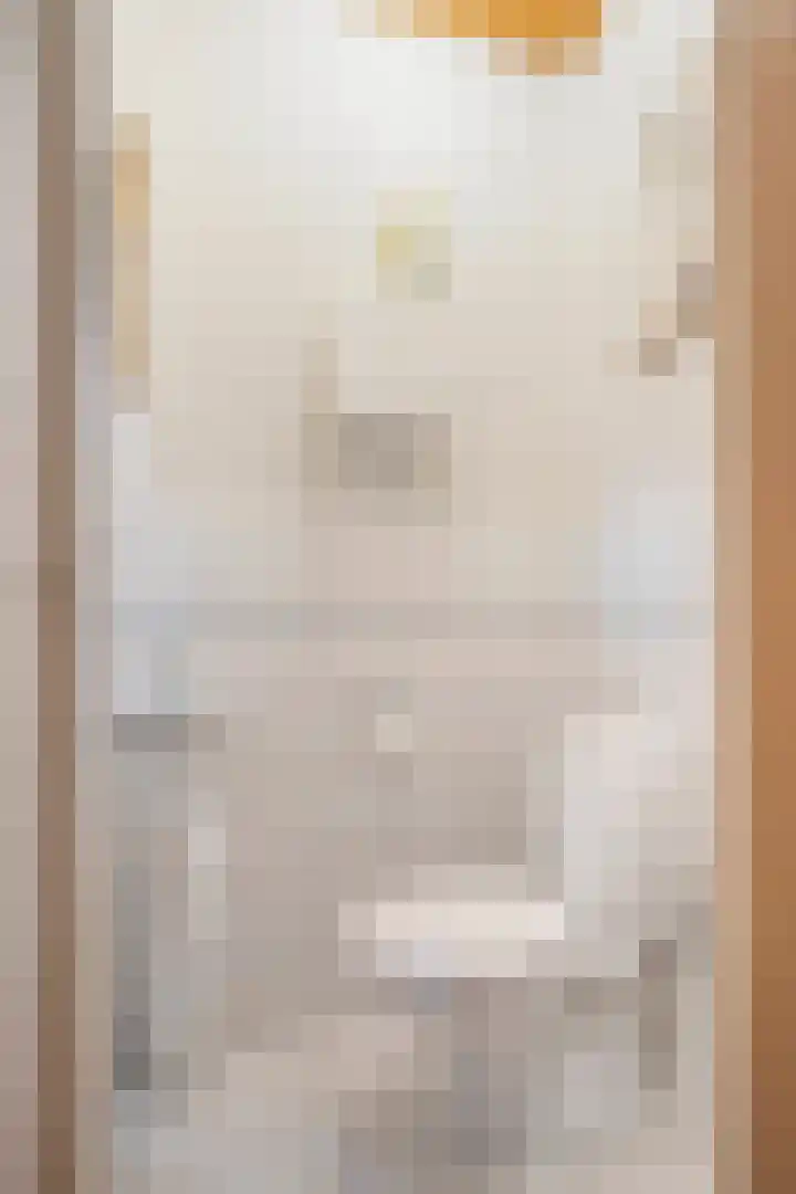 Burg Fredrixstraat 32 Elsloo thumbnail 6