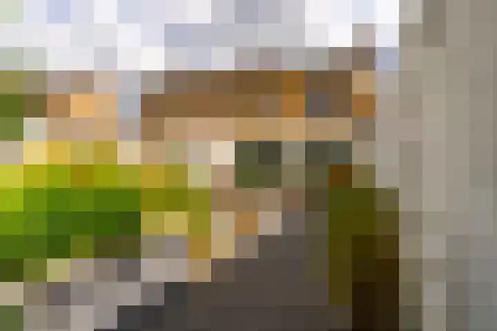 Burg Fredrixstraat 36 Elsloo thumbnail 27