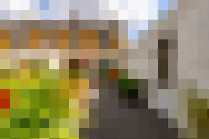 Burg Fredrixstraat 36 Elsloo thumbnail 28