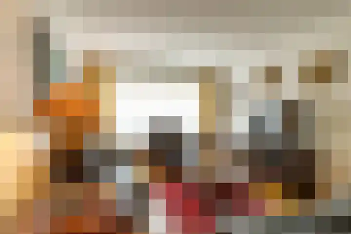 Burg Fredrixstraat 36 Elsloo thumbnail 6
