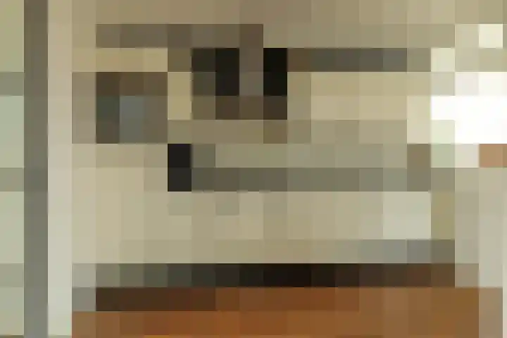 Burg G H Mulierstraat 10 Sloten thumbnail 8
