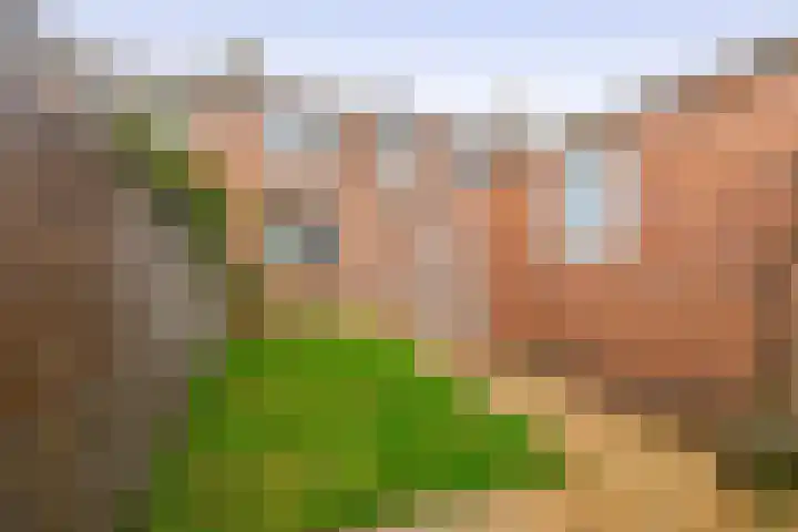 Burg G H Mulierstraat 30 Sloten thumbnail 32