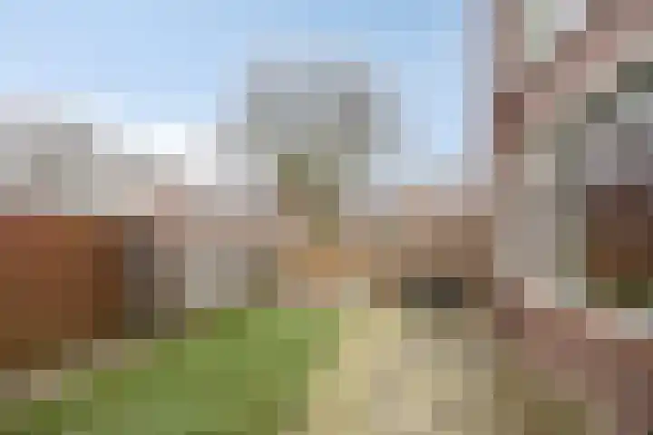 Burg. G. van Barneveldstraat 12 Groningen thumbnail 24