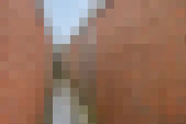 Burg. G. van Barneveldstraat 12 Groningen thumbnail 31