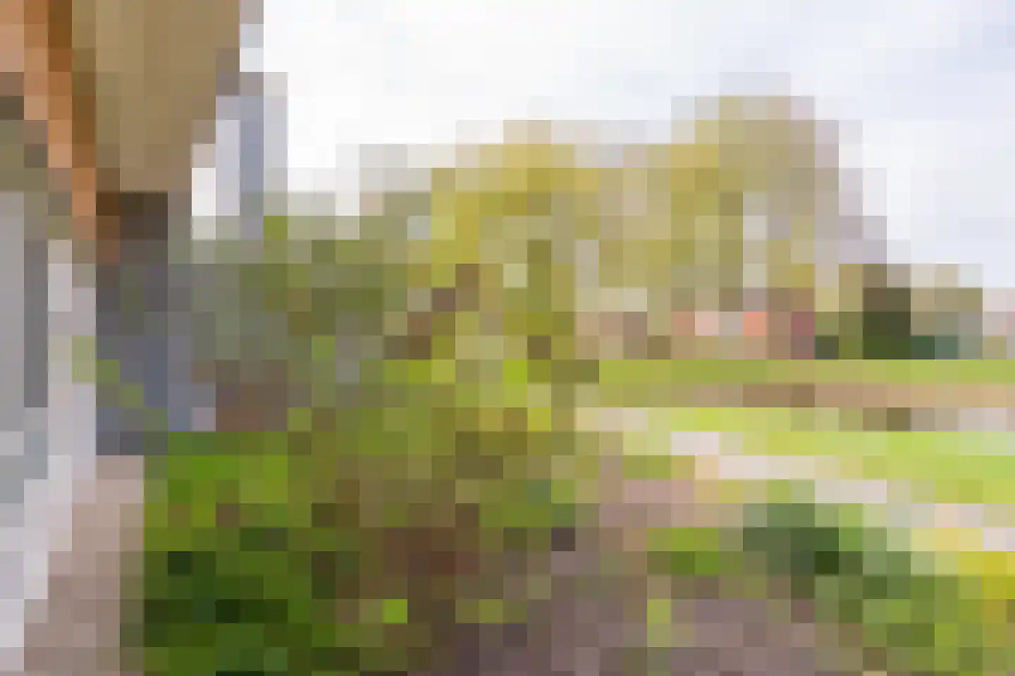 Burg. Gaarlandtlaan 20 a Gasselternijveen thumbnail 13