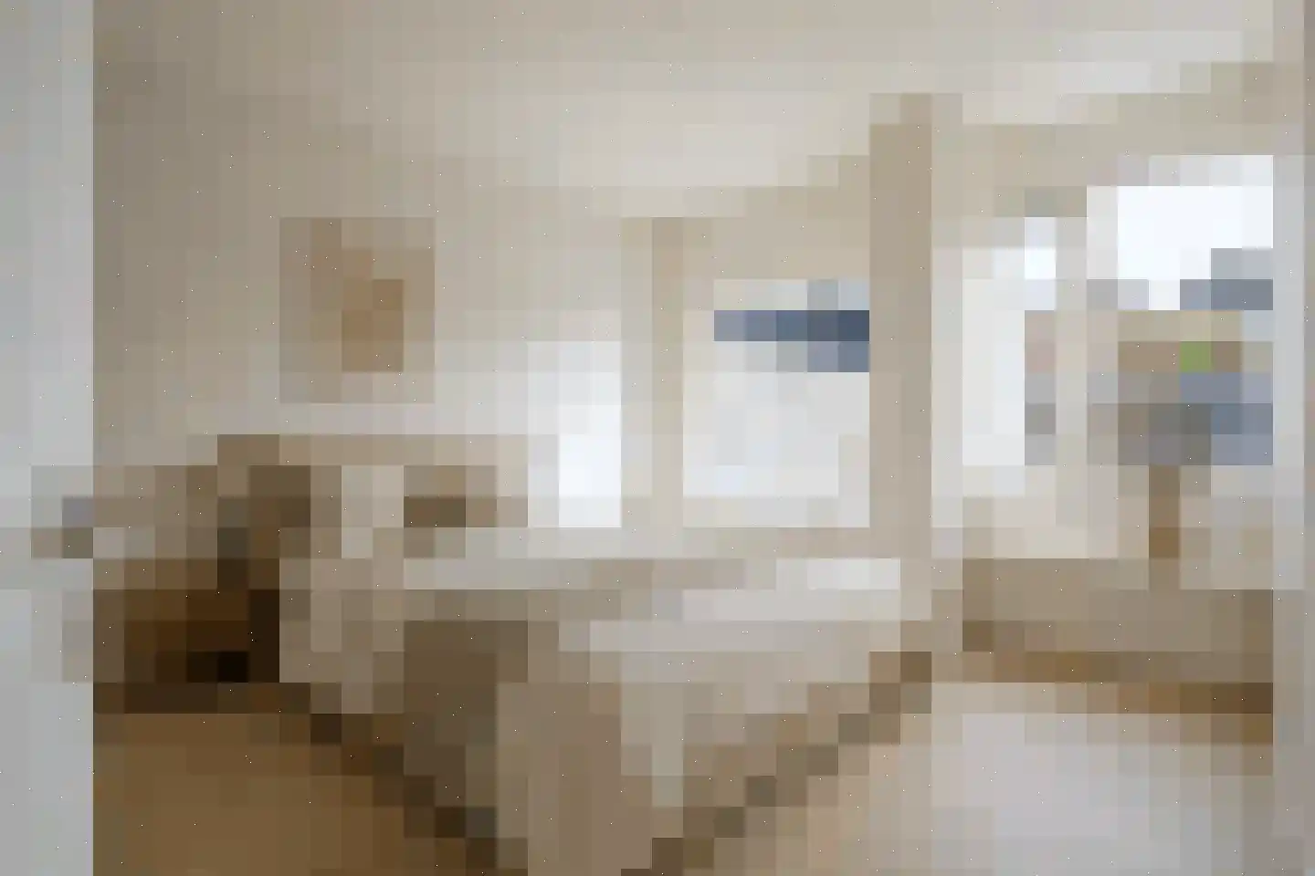 Burg. Gaarlandtlaan 20 a Gasselternijveen thumbnail 23