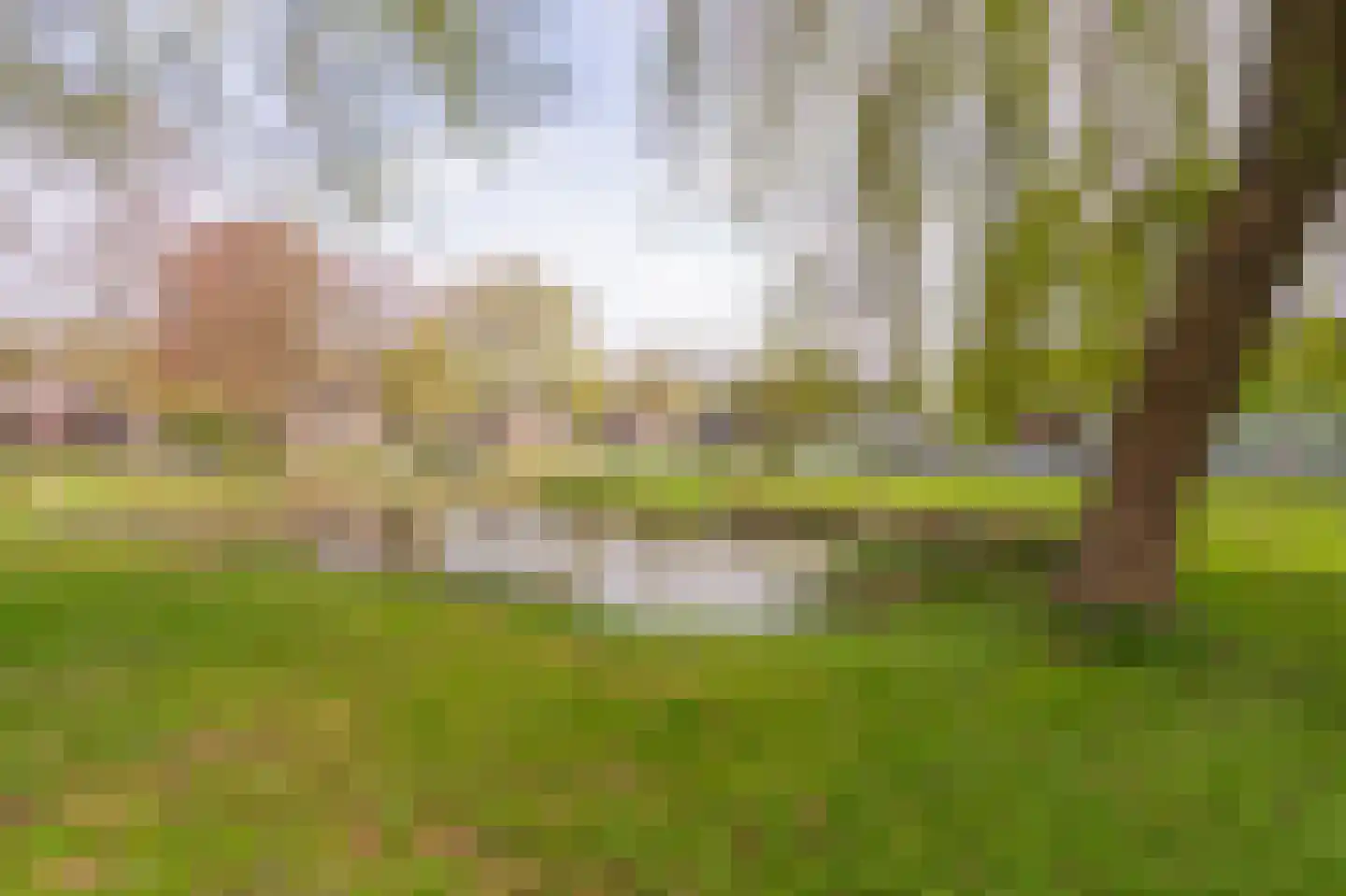 Burg. Gaarlandtlaan 20 a Gasselternijveen thumbnail 8