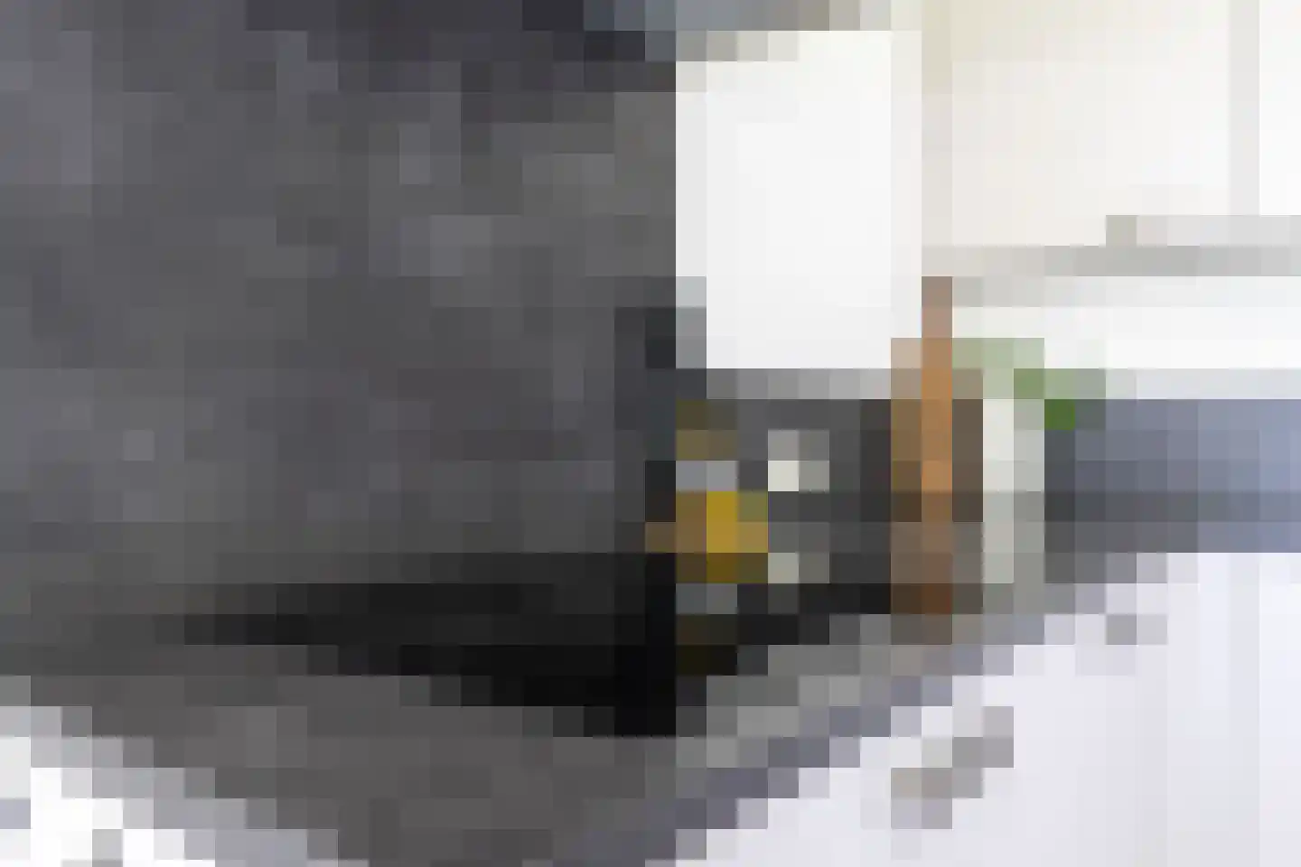 Burg. Gaarlandtlaan 20 c Gasselternijveen thumbnail 22