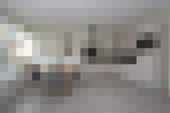 Burg. Gaarlandtlaan 20 Gasselternijveen thumbnail 13
