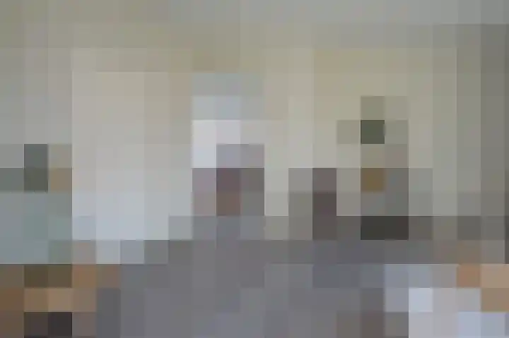Burg. Gaarlandtlaan 20 Gasselternijveen thumbnail 17