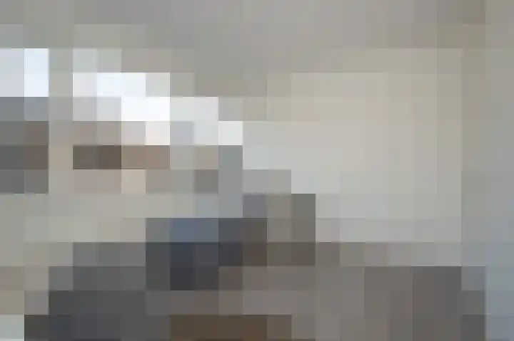 Burg. Gaarlandtlaan 20 Gasselternijveen thumbnail 24