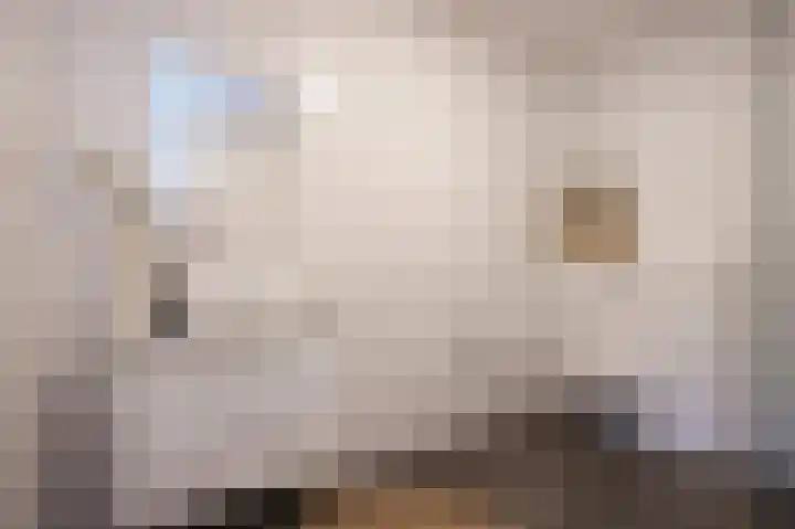 Burg. Gaarlandtlaan 20 Gasselternijveen thumbnail 4