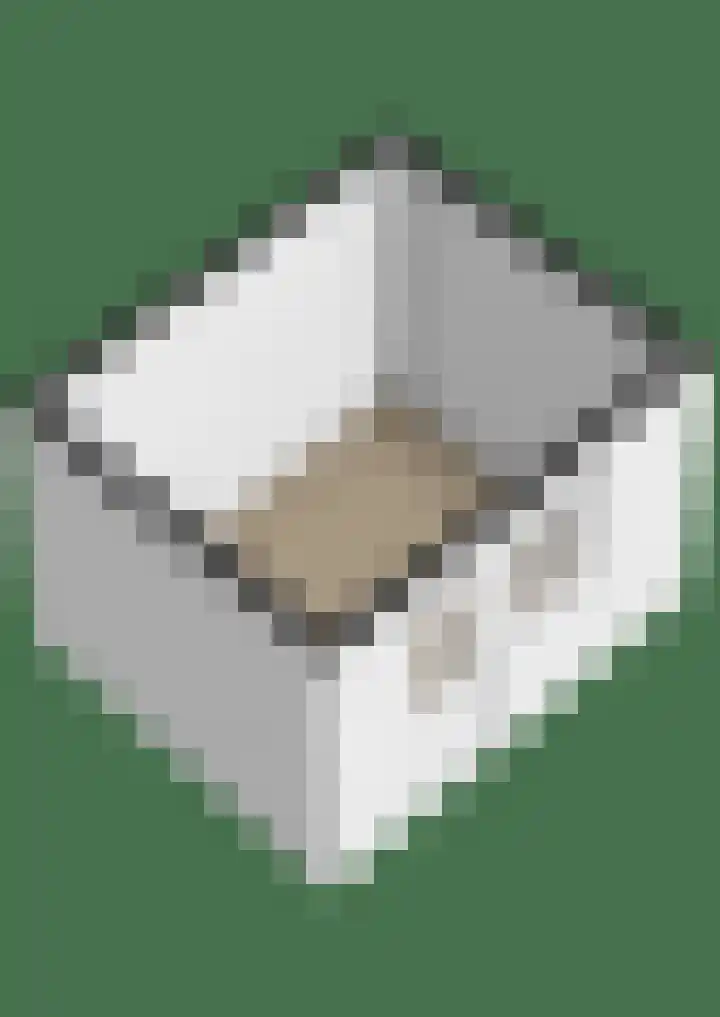 Burg. Gaarlandtlaan 20 Gasselternijveen thumbnail 45