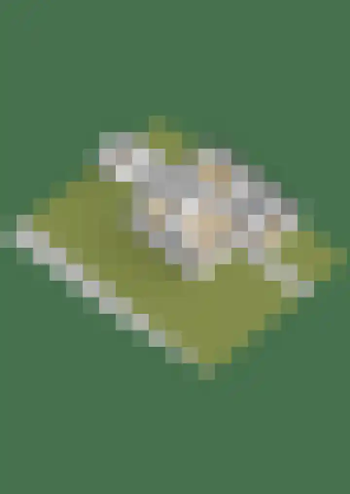 Burg. Gaarlandtlaan 20 Gasselternijveen thumbnail 46