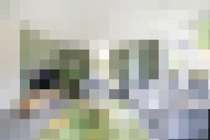 Burg. Gaarlandtlaan 28 Gasselternijveen thumbnail 15