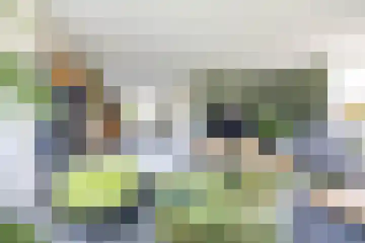 Burg. Gaarlandtlaan 28 Gasselternijveen thumbnail 16