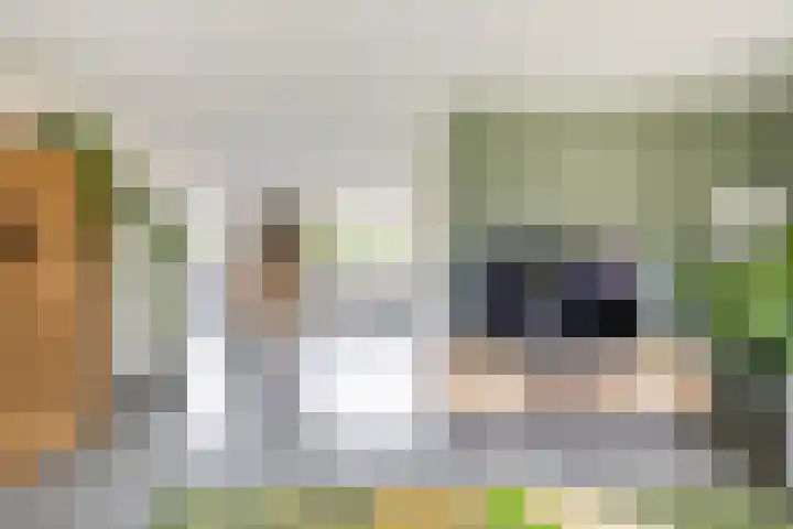 Burg. Gaarlandtlaan 28 Gasselternijveen thumbnail 17