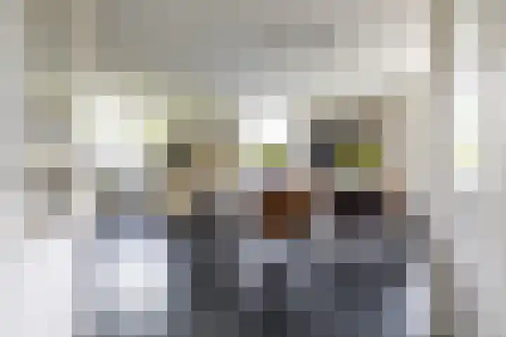 Burg. Gaarlandtlaan 28 Gasselternijveen thumbnail 21