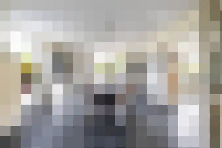 Burg. Gaarlandtlaan 28 Gasselternijveen thumbnail 22