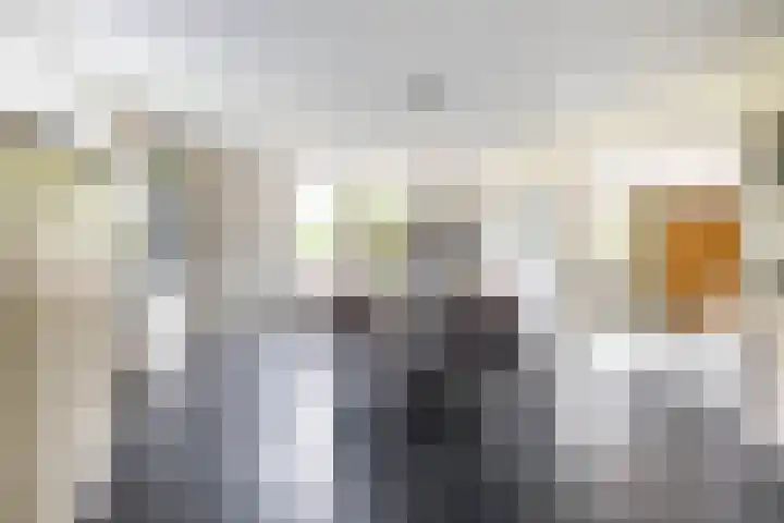 Burg. Gaarlandtlaan 28 Gasselternijveen thumbnail 23