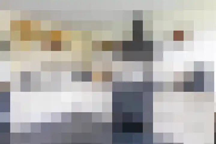 Burg. Gaarlandtlaan 28 Gasselternijveen thumbnail 26