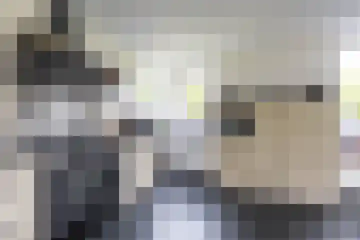 Burg. Gaarlandtlaan 28 Gasselternijveen thumbnail 27