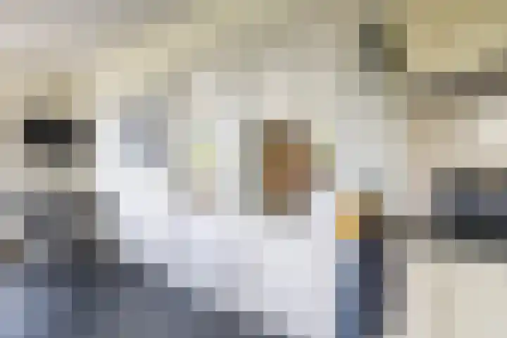 Burg. Gaarlandtlaan 28 Gasselternijveen thumbnail 28