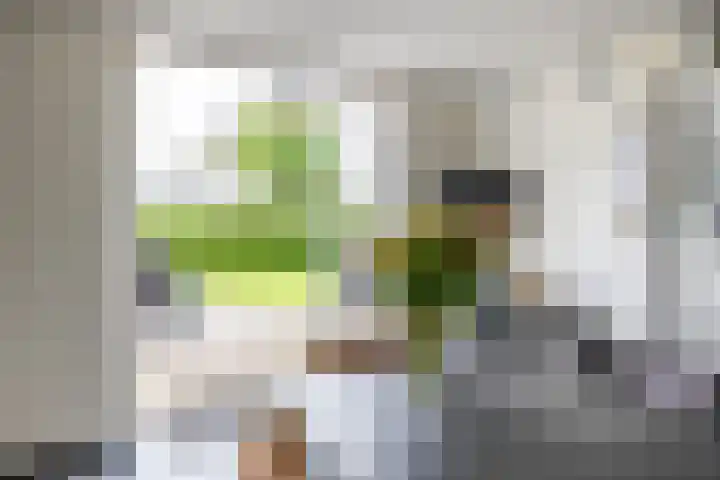 Burg. Gaarlandtlaan 28 Gasselternijveen thumbnail 29