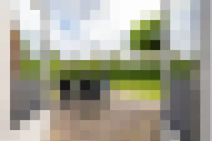 Burg. Gaarlandtlaan 28 Gasselternijveen thumbnail 30