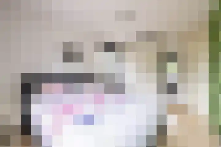 Burg. Gaarlandtlaan 28 Gasselternijveen thumbnail 32