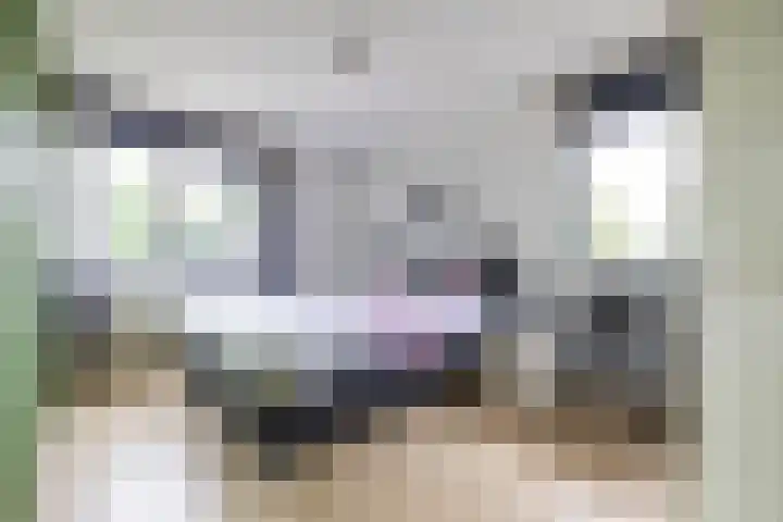 Burg. Gaarlandtlaan 28 Gasselternijveen thumbnail 33