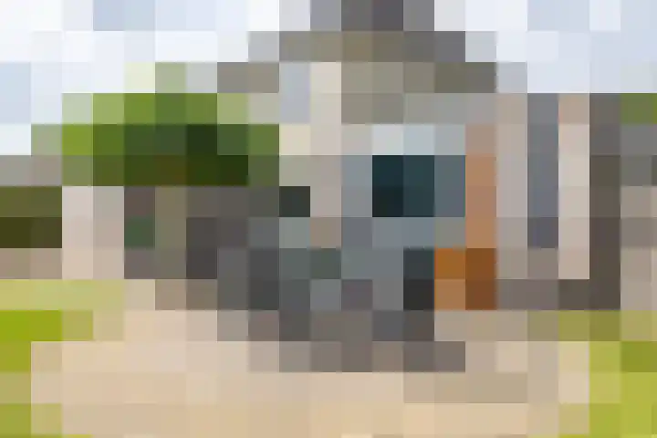 Burg. Gaarlandtlaan 28 Gasselternijveen thumbnail 43