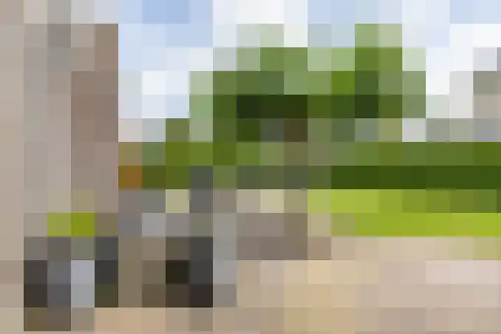Burg. Gaarlandtlaan 28 Gasselternijveen thumbnail 46