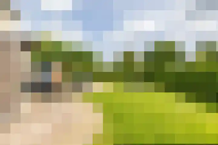 Burg. Gaarlandtlaan 28 Gasselternijveen thumbnail 48