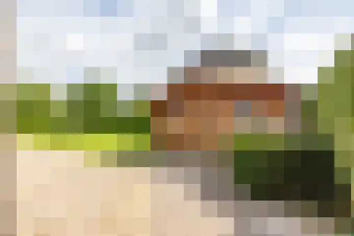 Burg. Gaarlandtlaan 28 Gasselternijveen thumbnail 49