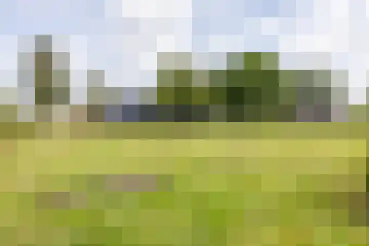 Burg. Gaarlandtlaan 28 Gasselternijveen thumbnail 55