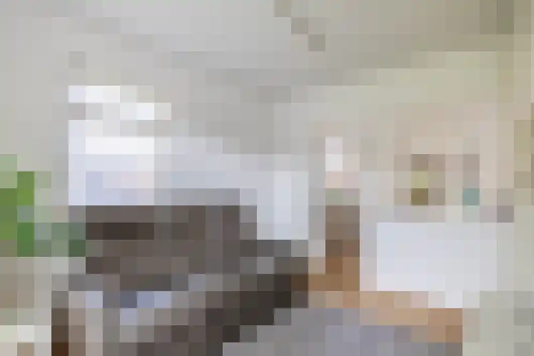 Burg. Gaarlandtlaan 7 Gasselternijveen thumbnail 19