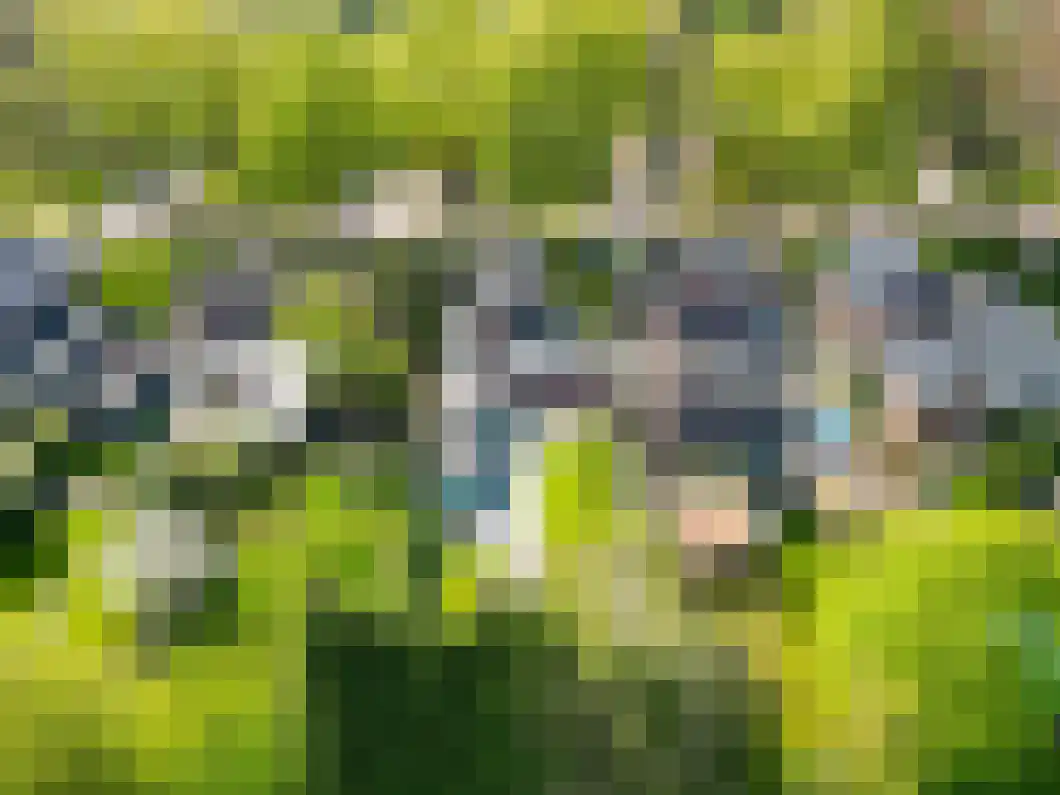 Burg. Gaarlandtlaan 7 Gasselternijveen thumbnail 37