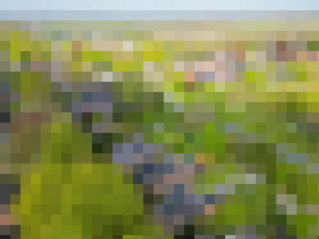 Burg. Gaarlandtlaan 7 Gasselternijveen thumbnail 38